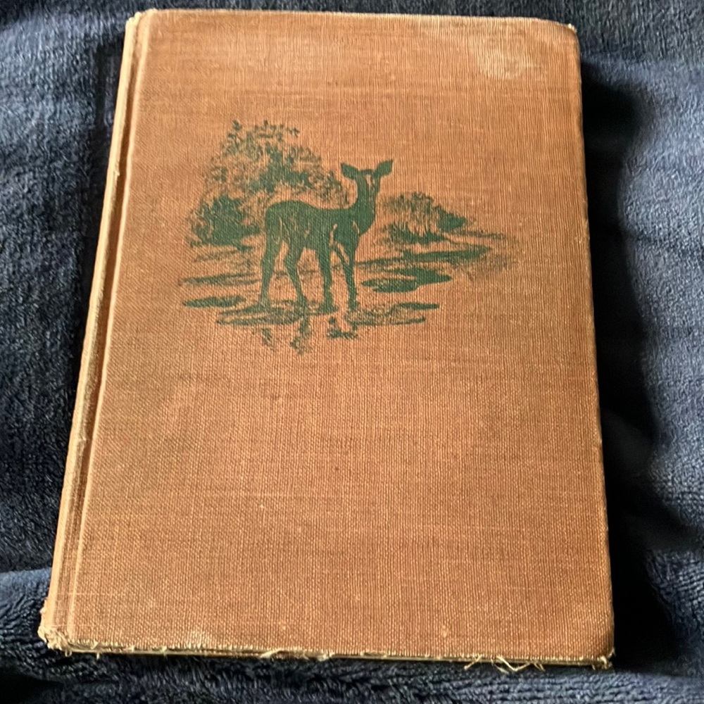 Vintage First Edition “Giant Mountain” by Frances Fullerton Neilson‎